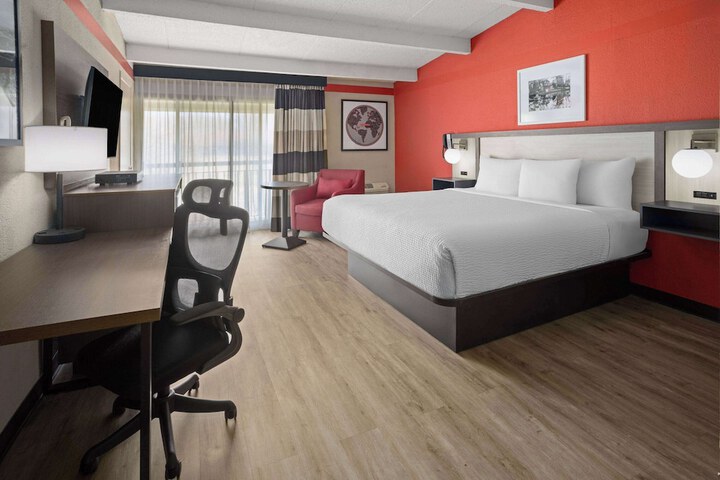 1 King Bed (1 of 6)