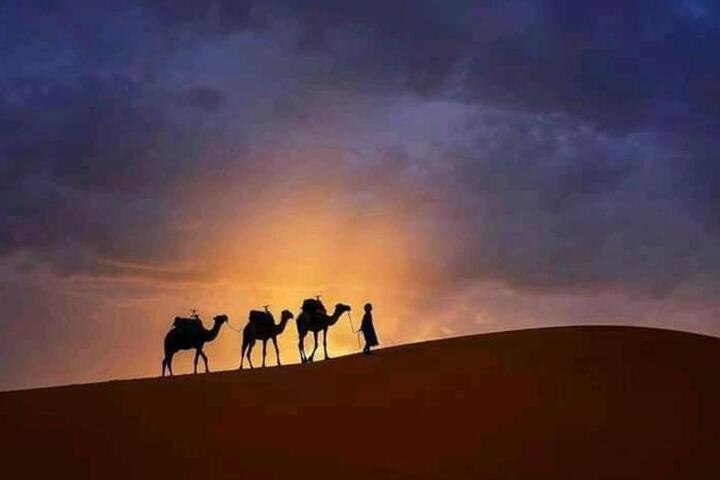 Luxury Sahara Gold Camp
