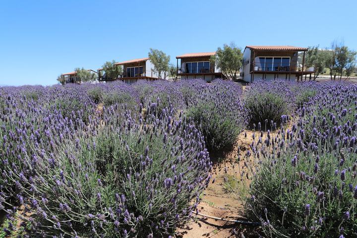 Image of Montevalle Resort and Spa