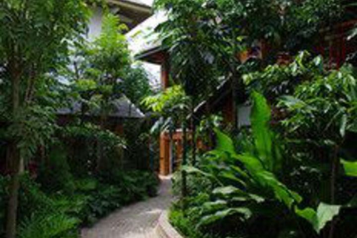 Phoenix Trees Inn