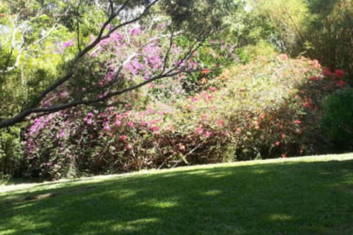Property Grounds 59 of 60
