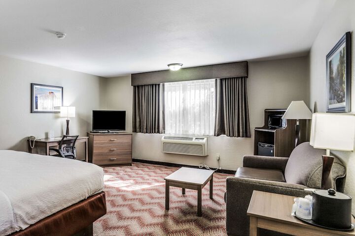 1 King Bed Pet Friendly (15 of 36)