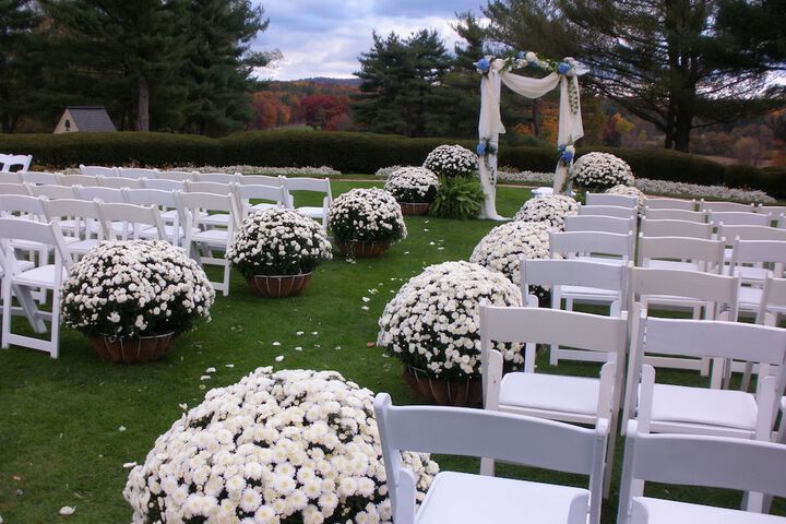 Outdoor wedding area