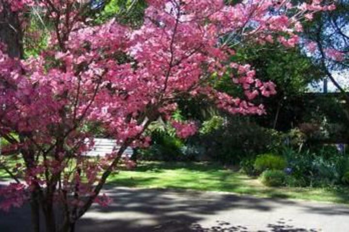 Property Grounds 12 of 13
