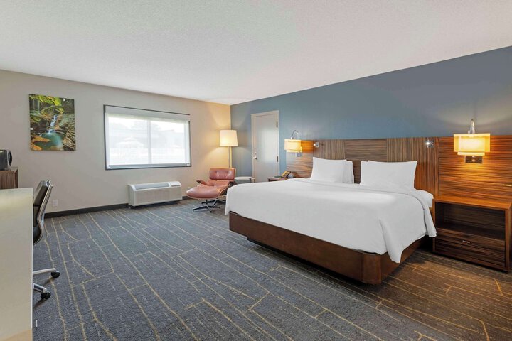 1 King Bed (9 of 18)