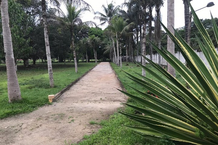 Property Grounds 41 of 54