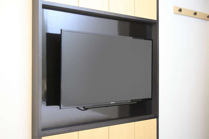 Television