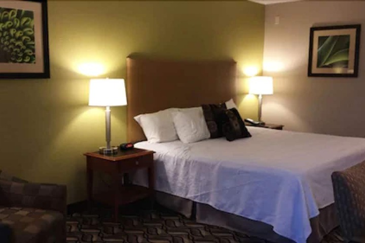 Standard | King Bed (7 of 7)