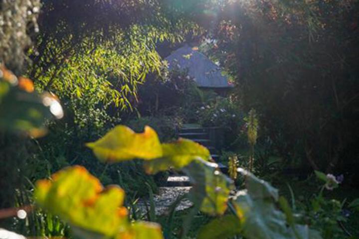 Photo 22