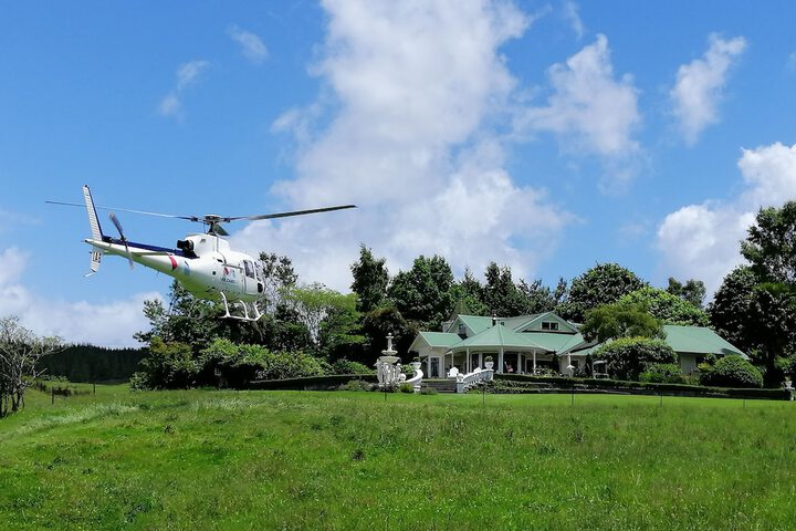 Helicopter/plane tours