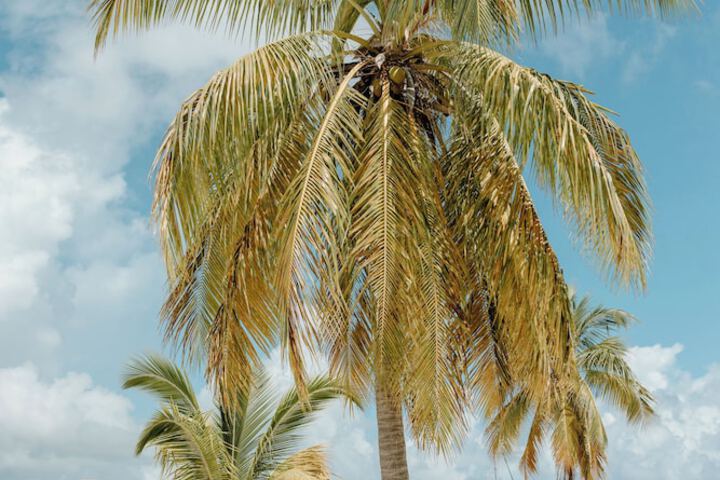 Beach 49 of 61