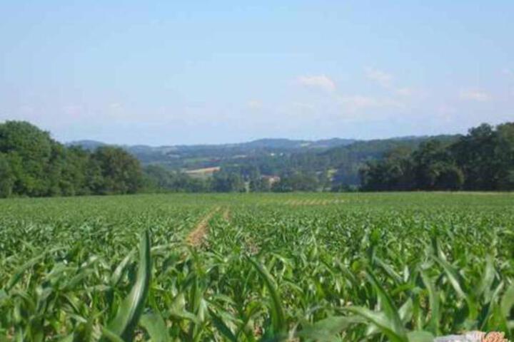 Photo 26
