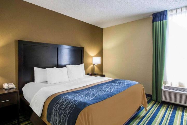 1 King Bed (1 of 17)