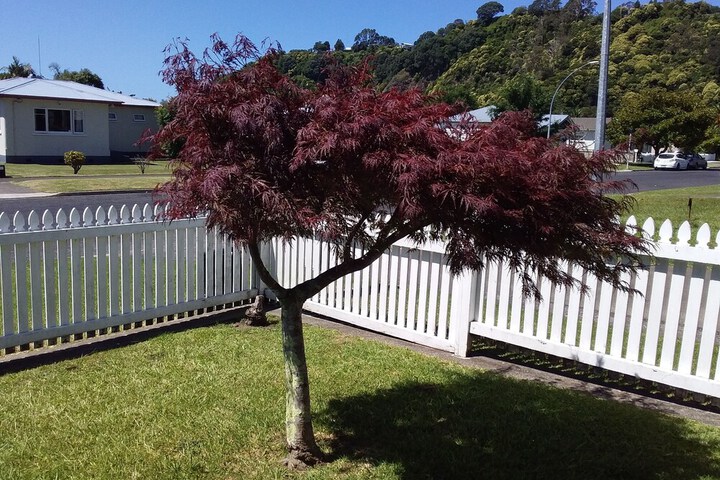 Property Grounds 22 of 27