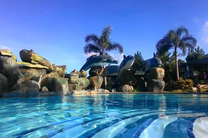 Pool 41 of 62