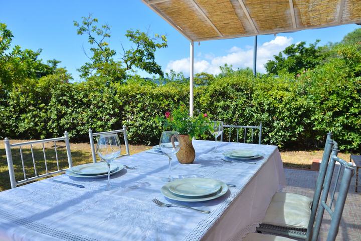 Terrace/Patio 10 of 19
