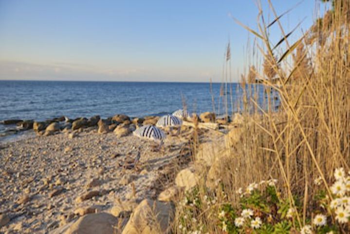 Beach 100 of 129