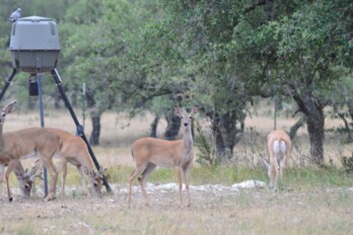 Hotel View 439 of 459