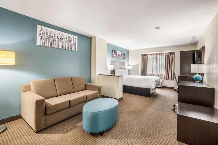 Suite Queen Bed (4 of 14)