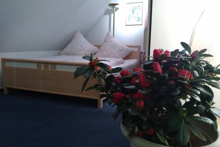 Room 9 of 57