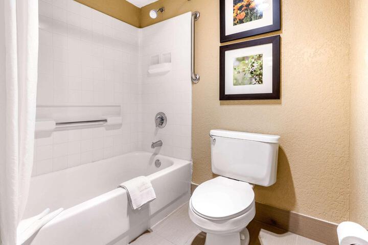 1 King Bed Accessible (15 of 22)