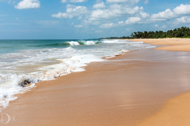 Beach 80 of 88