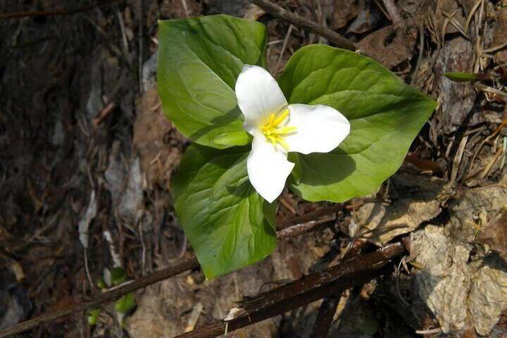 Outdoor Activities 98 of 188