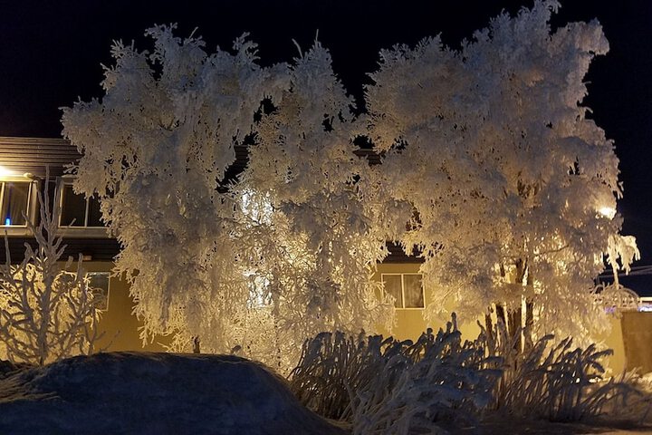 Property Grounds 22 of 48