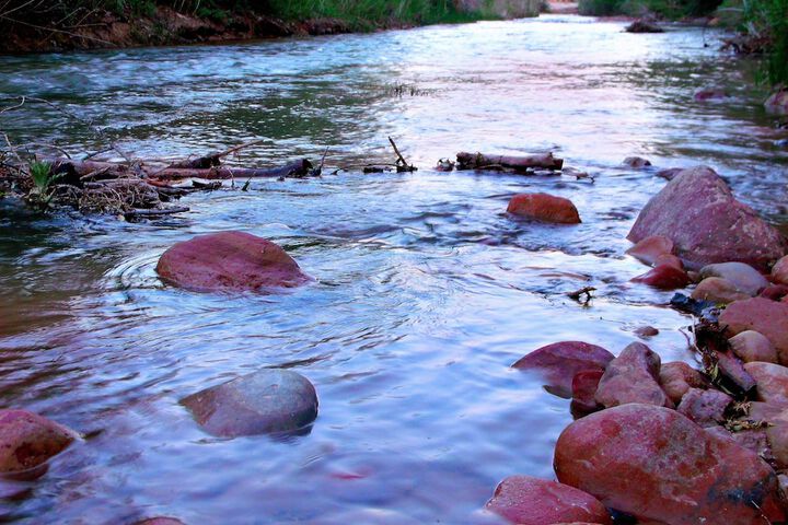 Property Grounds 11 of 25