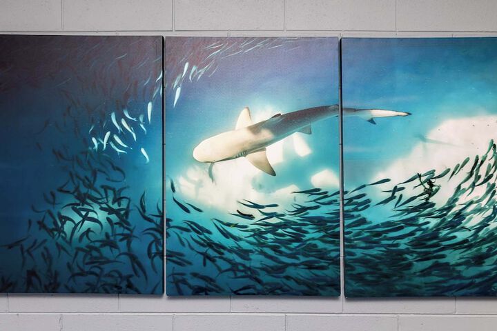 Hotel Interior 60 of 73