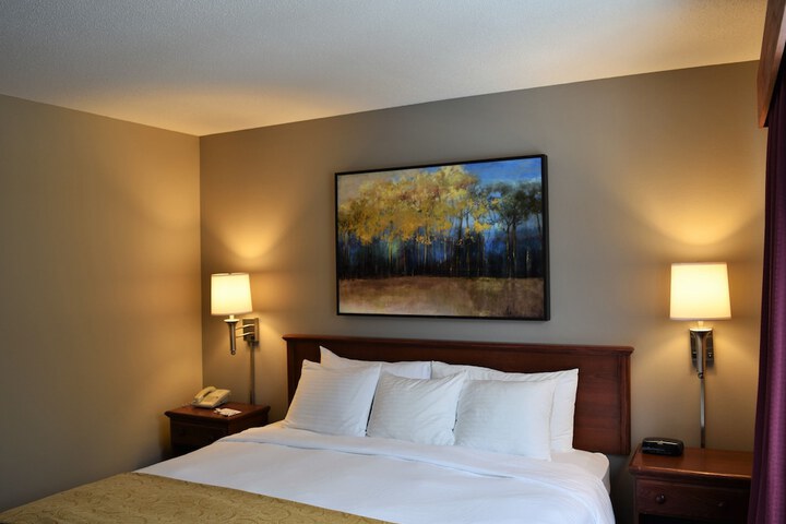 Deluxe Suite King Bed (6 of 12)