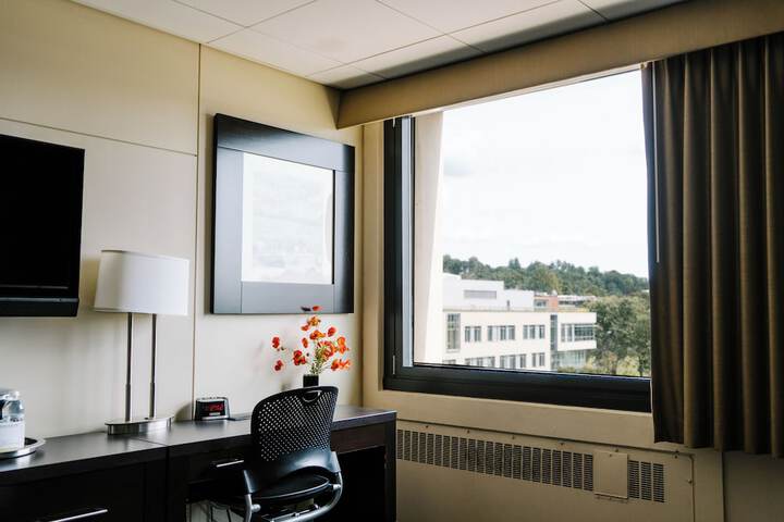 Room 19 of 41