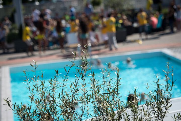 Pool 25 of 47