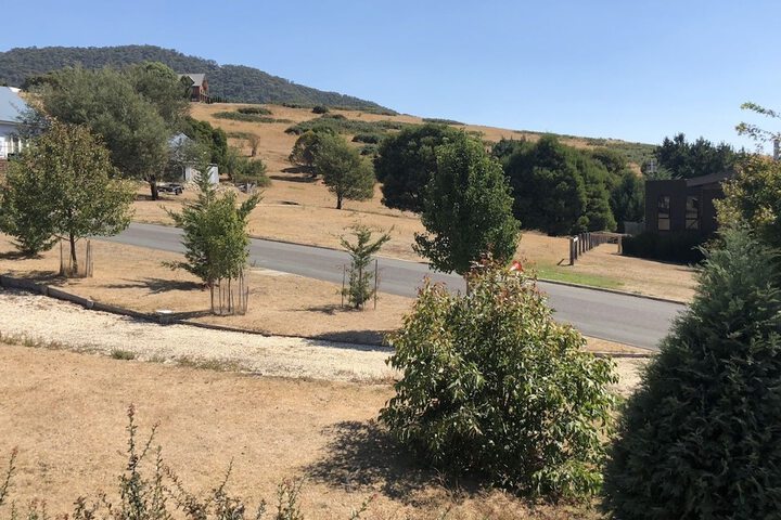 Property Grounds 9 of 11