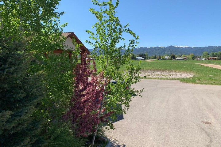 Property Grounds 19 of 24