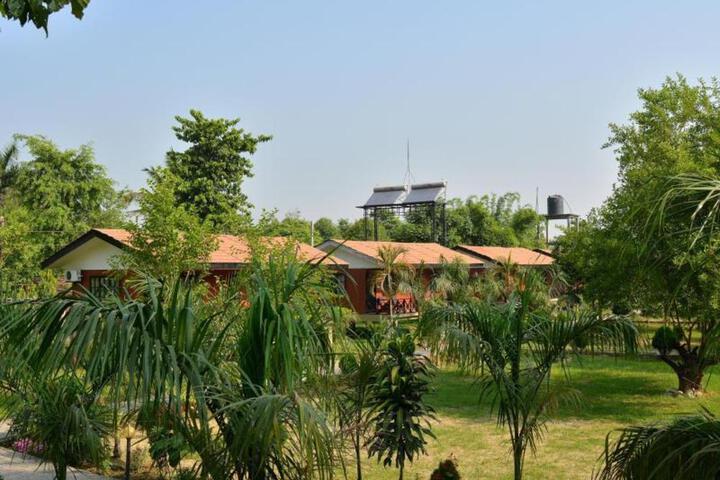 Photo 18