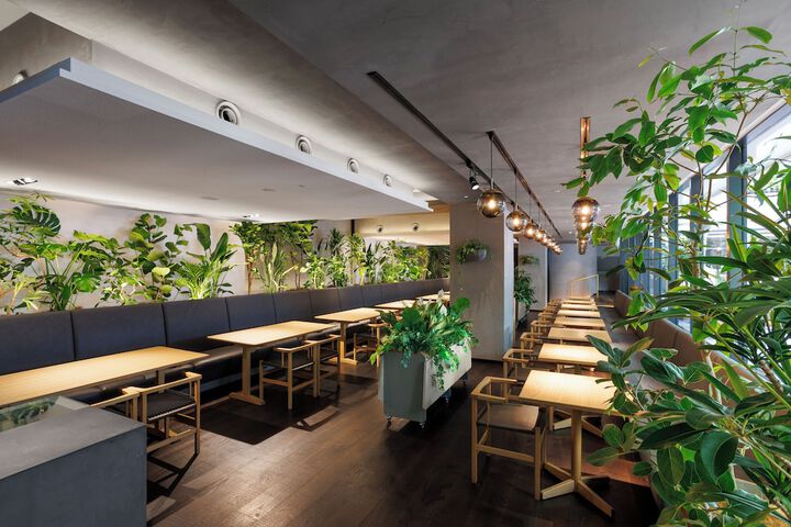 Dining 96 of 135