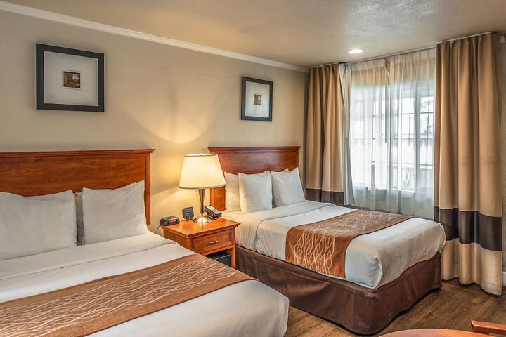 Double Accessible King Size Bed (10 of 15)