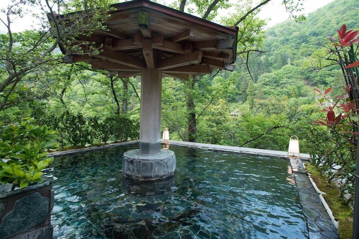 Wellness Treatments