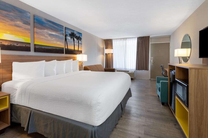 1 King Bed (16 of 17)