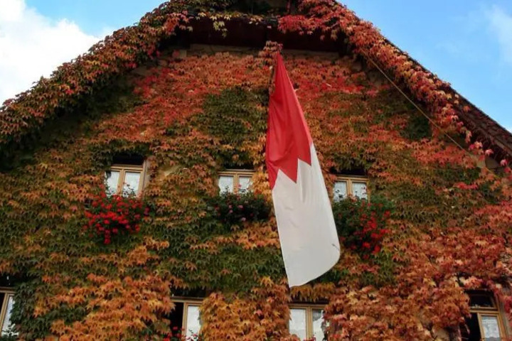 HOTEL-GASTHOF-SCHIFF
