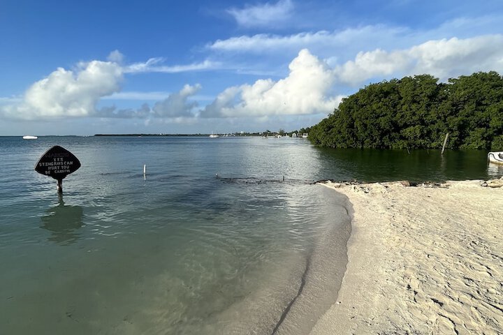 Beach 51 of 59