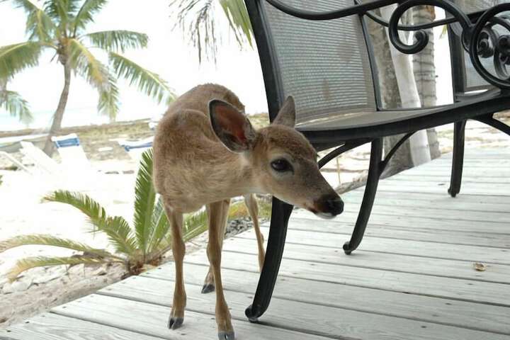 Property Grounds 11 of 13