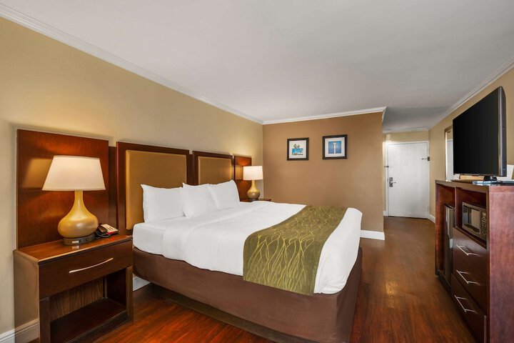 Standard King Bed City View (2 of 11)