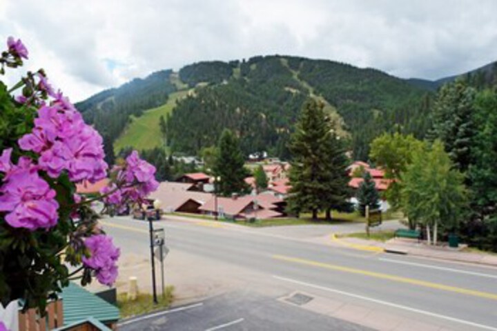 Photo of Skiview_condo_06