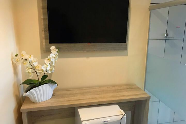 Television