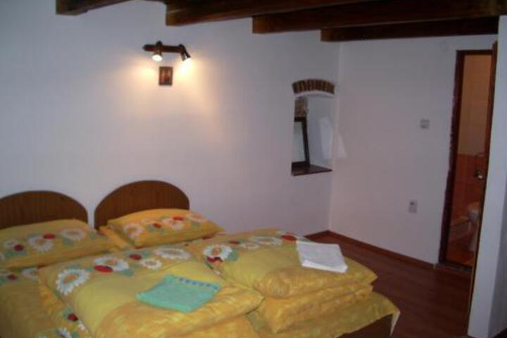 Pensiunea Rustic