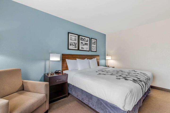 1 King Bed Mobility Accessible (15 of 29)