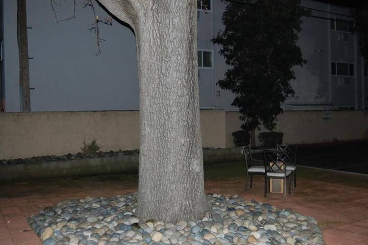 Terrace/Patio 19 of 24