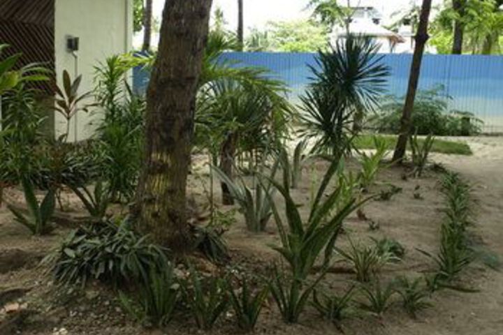 Property Grounds 103 of 124